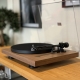 PRO-JECT DEBUT CARBON EVO 2