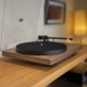 PRO-JECT DEBUT CARBON EVO 2